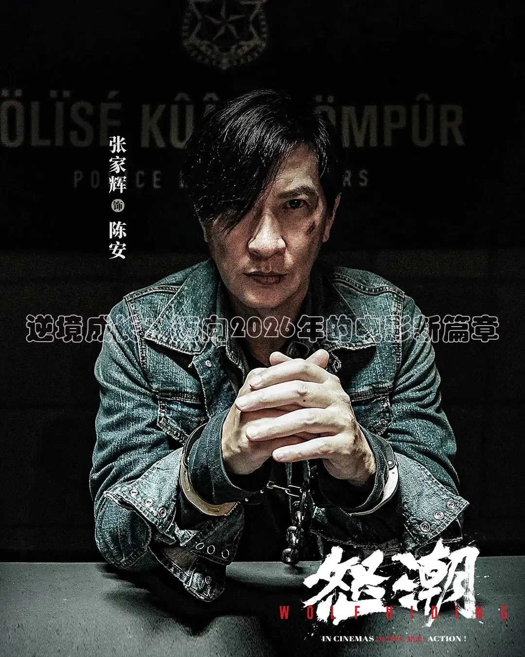 逆境成长：迈向2026年的电影新篇章